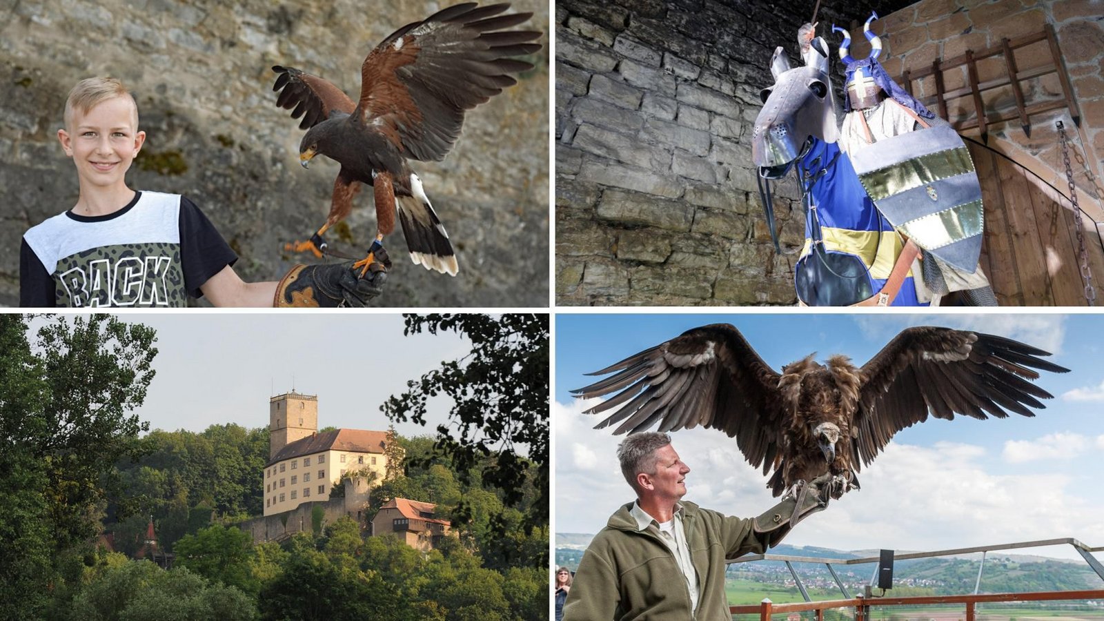 Stolze Vögel und mittelalterliche Atmosphäre auf Burg Guttenberg.Foto: Burg Guttenberg