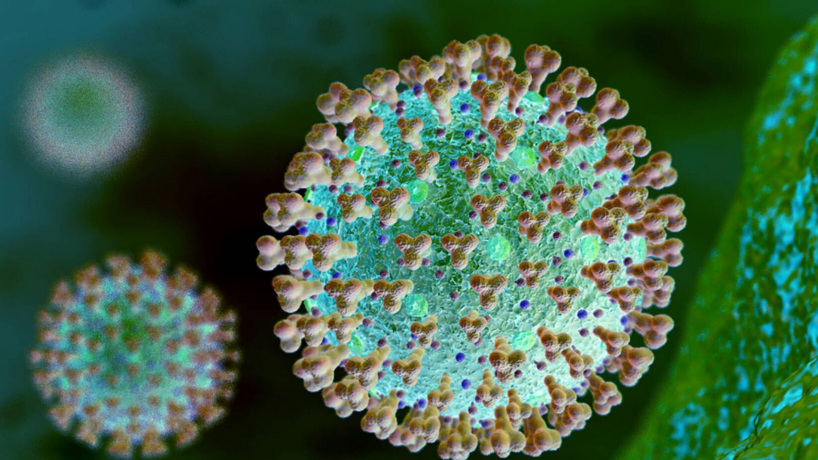 Weiterhin besorgniserregend: das SARS-CoV2 Virus (Symbolbild)Foto: imago images/MiS/via www.imago-images.de Weiterhin besorgniserregend: das SARS-CoV2 Virus (Symbolbild)Foto: imago images/MiS/via www.imago-images.de