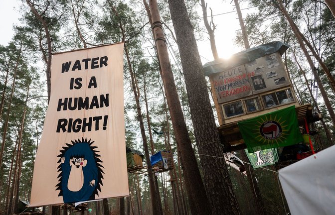 Umweltschützer haben in Grünheide den Wald besetzt, der für die Erweiterung gerodet werden müsste.<span class='image-autor'>Foto: dpa/Christophe Gateau</span>