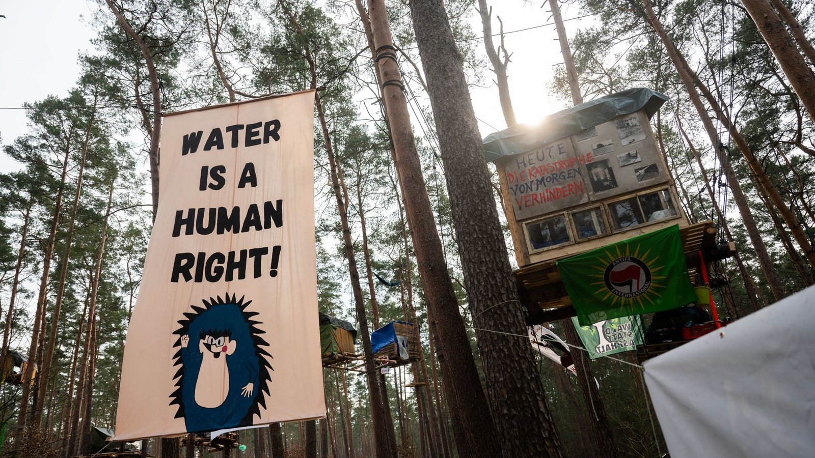 Umweltschützer haben in Grünheide den Wald besetzt, der für die Erweiterung gerodet werden müsste.Foto: dpa/Christophe Gateau