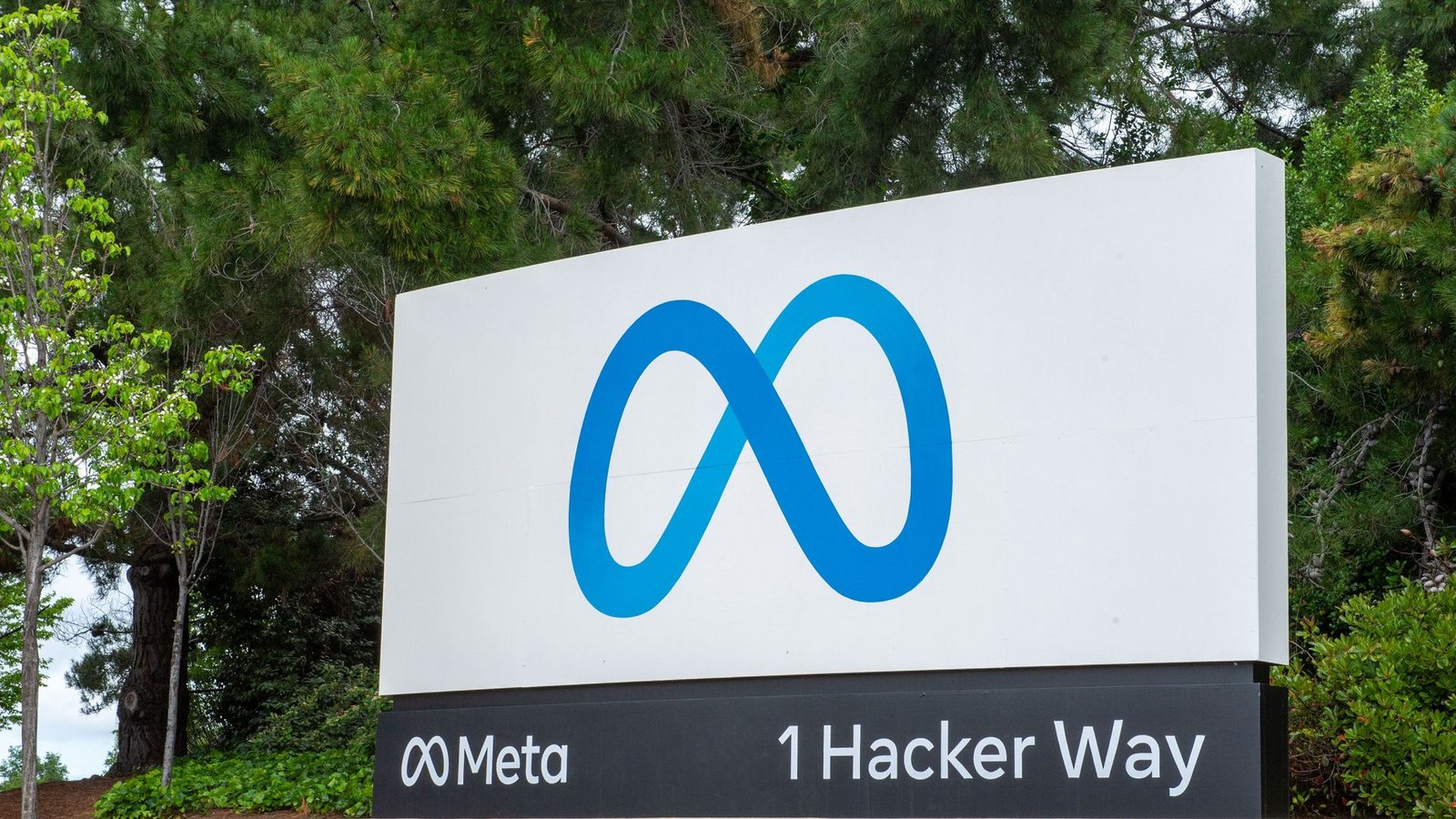 Meta legt sich nun auch ein soziales Netzwerk für autonome KI-Programme zu. (Archivbild)Foto: Andrej Sokolow/dpa