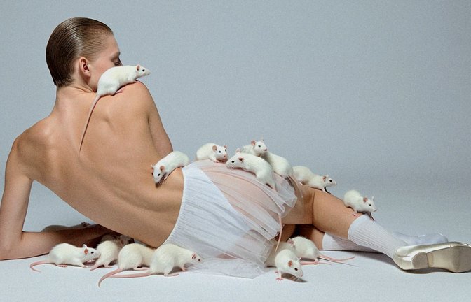 Kunsterzeugnis mit Hilfe Künstlicher Intelligenz: Arbeit aus der Serie „Magnifics“ der Stuttgarter Fotokünstlerin Monica Menez<span class='image-autor'>Foto: Monica Menez</span>