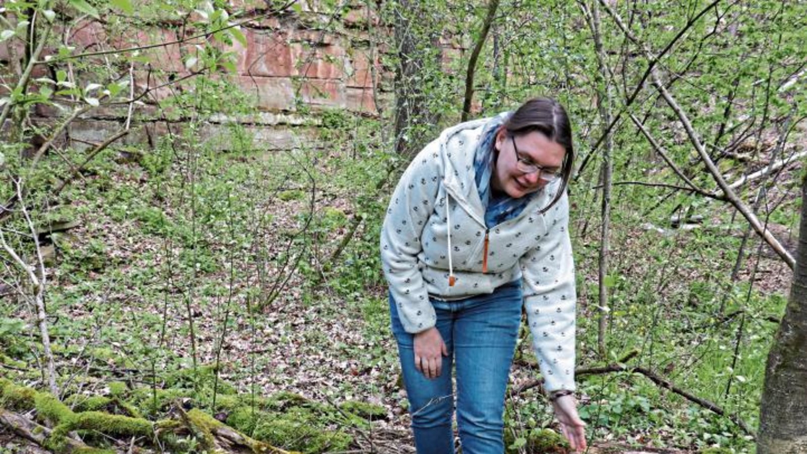 Moosteppiche, ungewöhnliche Baumpilze und ein kleines Biotop warten im Steinbruch auf Entdeckung.