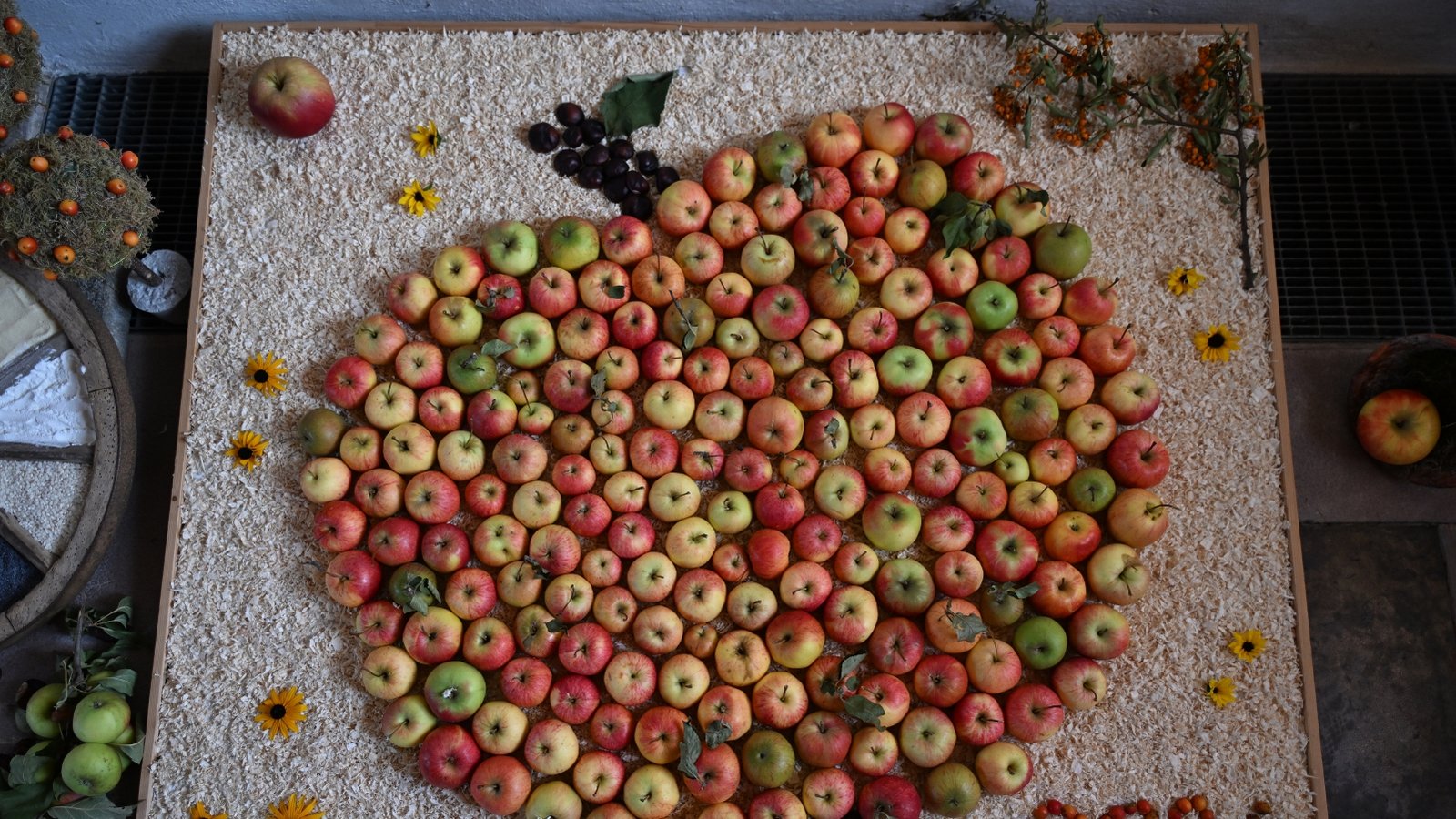 Reich war in diesem Jahr die Apfelernte und so standen die leuchtend roten und goldenen Früchte im Mittelpunkt der Altardekoration beim Erntedank-Gottesdienst der evangelische Kirchengemeinde Nussdorf. Mesnerin Marianne Rapp habe mit viel Hingabe und Kreativität den Altar geschmückt und die Schönheit des Herbstes in die Kirche gebracht, schreibt Veronika Wernstedt zu ihrem Foto.
