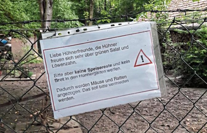Anleitung fürs richtige Füttern der gefiederten Freunde, gesehen in Aurich. Foto: Rücker