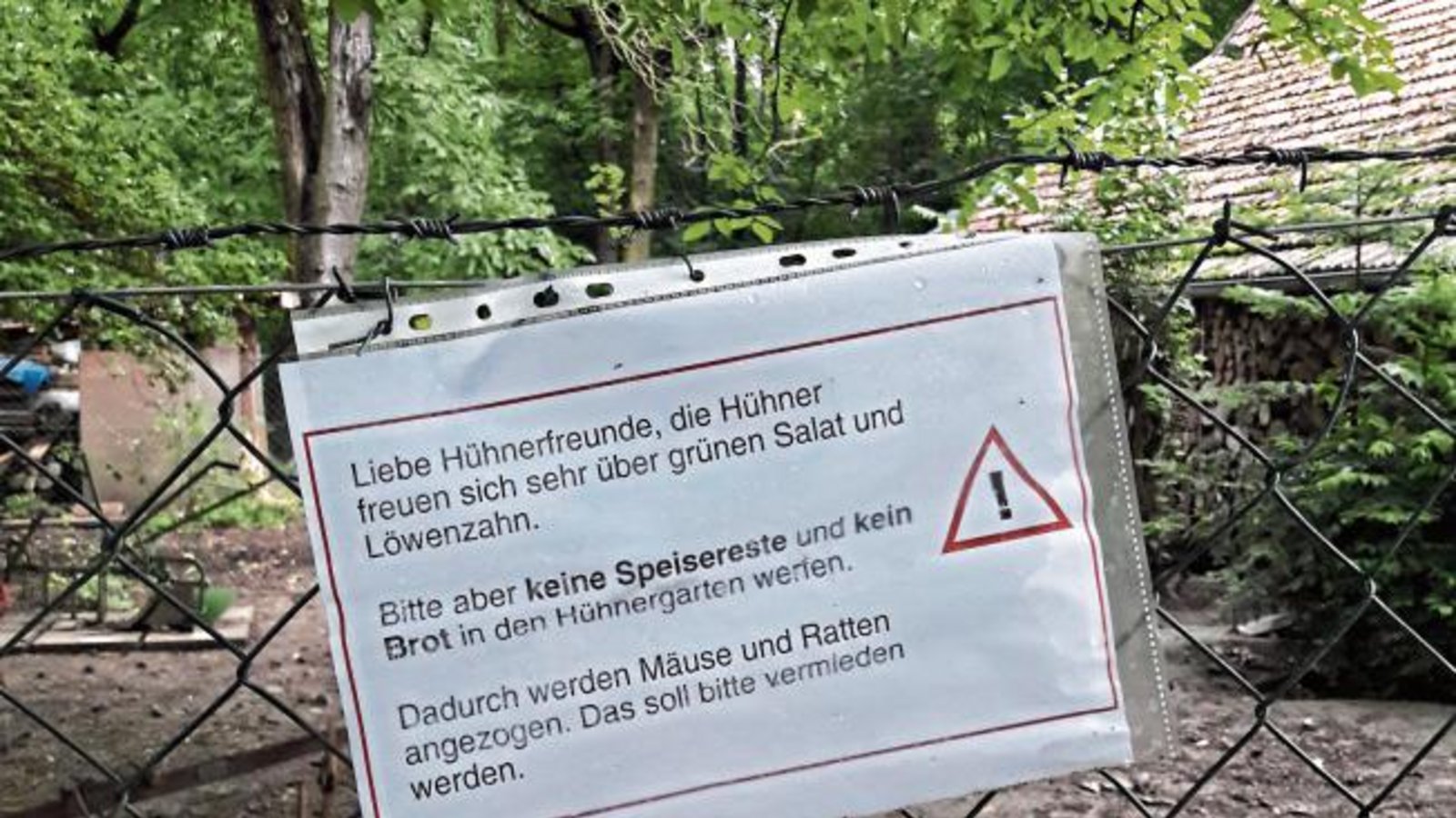 Anleitung fürs richtige Füttern der gefiederten Freunde, gesehen in Aurich. Foto: Rücker