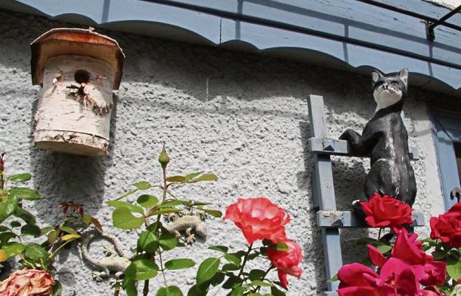 Ob angesichts dieses Nachbarn überhaupt ein gefiederter Freund in das Vogelhäuschen in der Vaihinger Kernstadt einziehen mag?  Foto: Banholzer