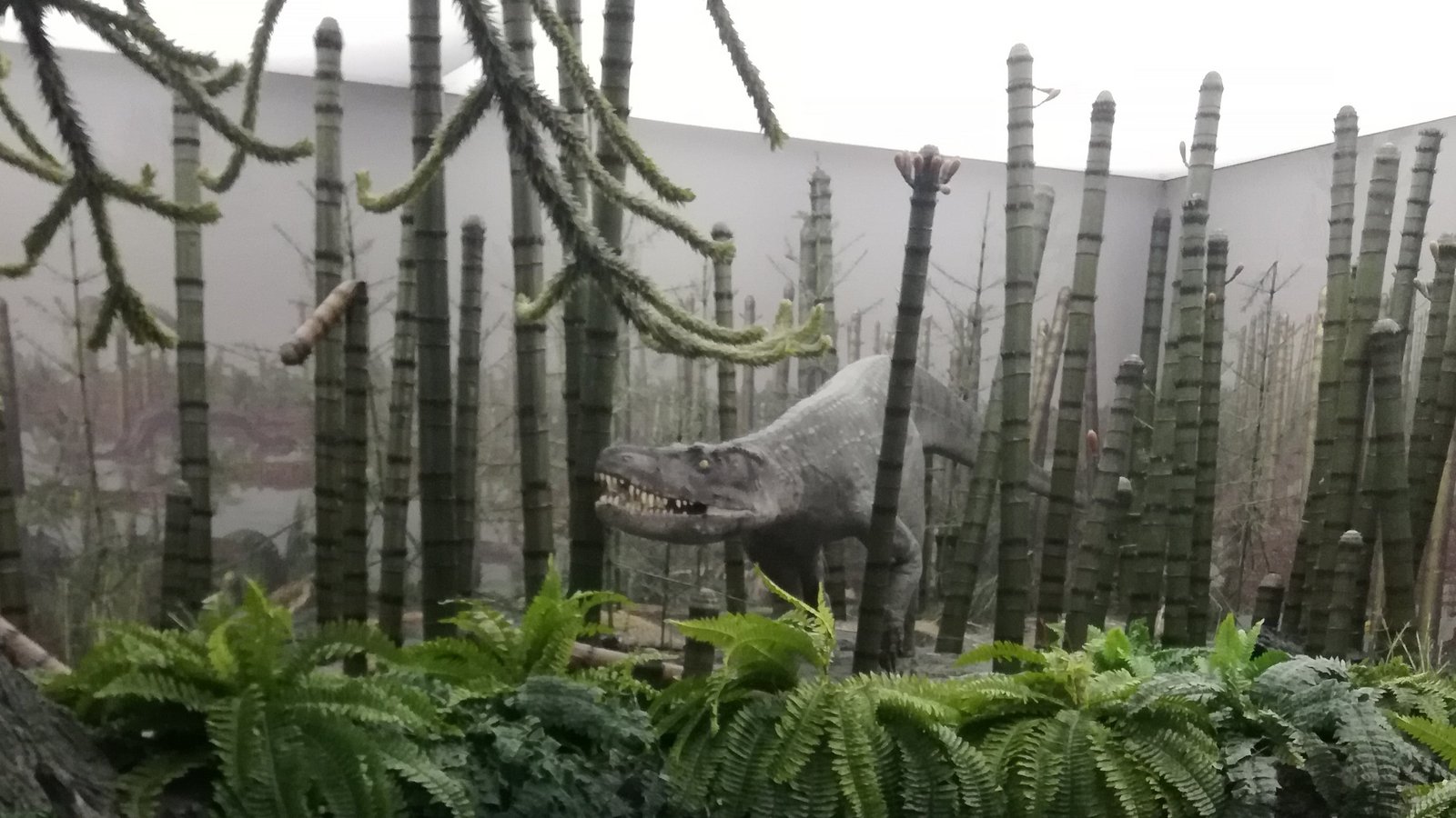 Im Naturkundemuseum in Stuttgart geht es auf Zeitreise.