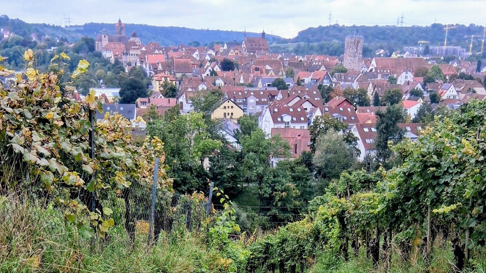 Besigheim Himmelsleiter Weinberg Stäffele Weinbau Fachwerk Altstadt Deutschlands schönster Weinort. Foto: Kauer