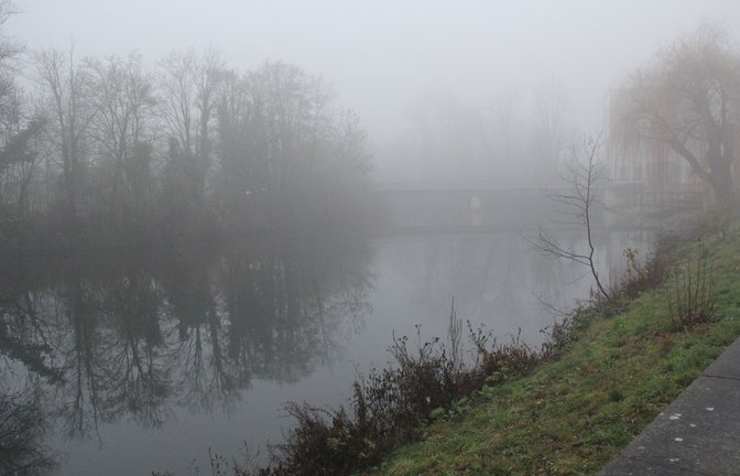 enz 1 jan