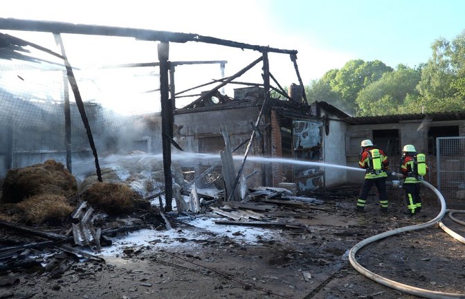 Die meisten der rund 7.000 Tiere verendeten bei dem Brand.<span class='image-autor'>Foto: Thorsten Kremers/dpa</span>