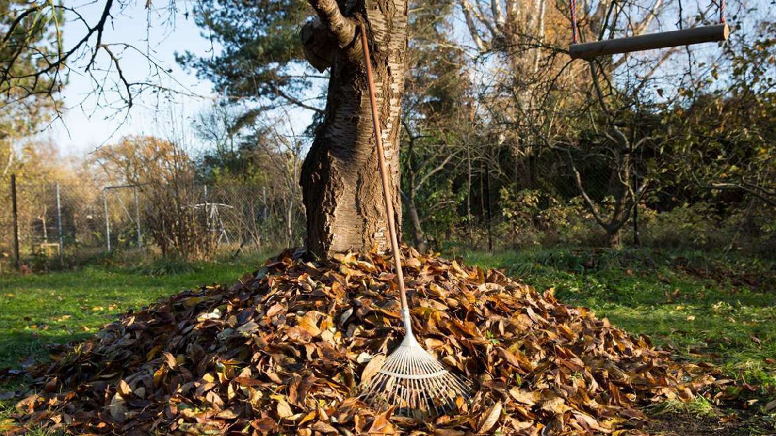Laubhaufen sind nicht nur Abfall: Heruntergefallenes Laub bietet Igeln und anderen kleinen Säugetieren sowie Insekten, Reptilien und Amphibien einen Unterschlupf für Herbst und Winter.Foto: Florian Schuh/dpa Laubhaufen sind nicht nur Abfall: Heruntergefallenes Laub bietet Igeln und anderen kleinen Säugetieren sowie Insekten, Reptilien und Amphibien einen Unterschlupf für Herbst und Winter.Foto: Florian Schuh/dpa
