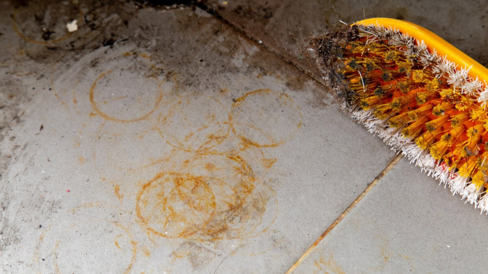 In diesem Artikel zeigen wir Ihnen 4 Möglichkeiten, wie Sie Rostflecken von Fliesen entfernen können. (+ 3 Tipps zur Reinigung)Foto: Sarapongwongpan / Shutterstock.com In diesem Artikel zeigen wir Ihnen 4 Möglichkeiten, wie Sie Rostflecken von Fliesen entfernen können. (+ 3 Tipps zur Reinigung)Foto: Sarapongwongpan / Shutterstock.com