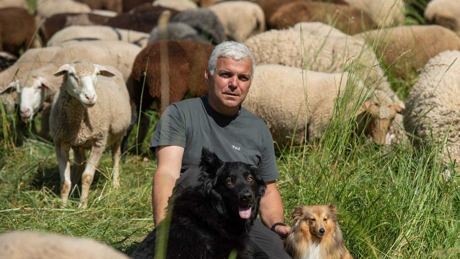 Paul Lemke sorgt  mit seinen Tieren dafür, dass die einstigen Streuobst- und Mähwiesen nicht erneut zuwuchern, sondern sich die typische Kulturlandschaft Baden-Württembergs wieder ausbreiten kann.Foto: Steffi Lemke/cf