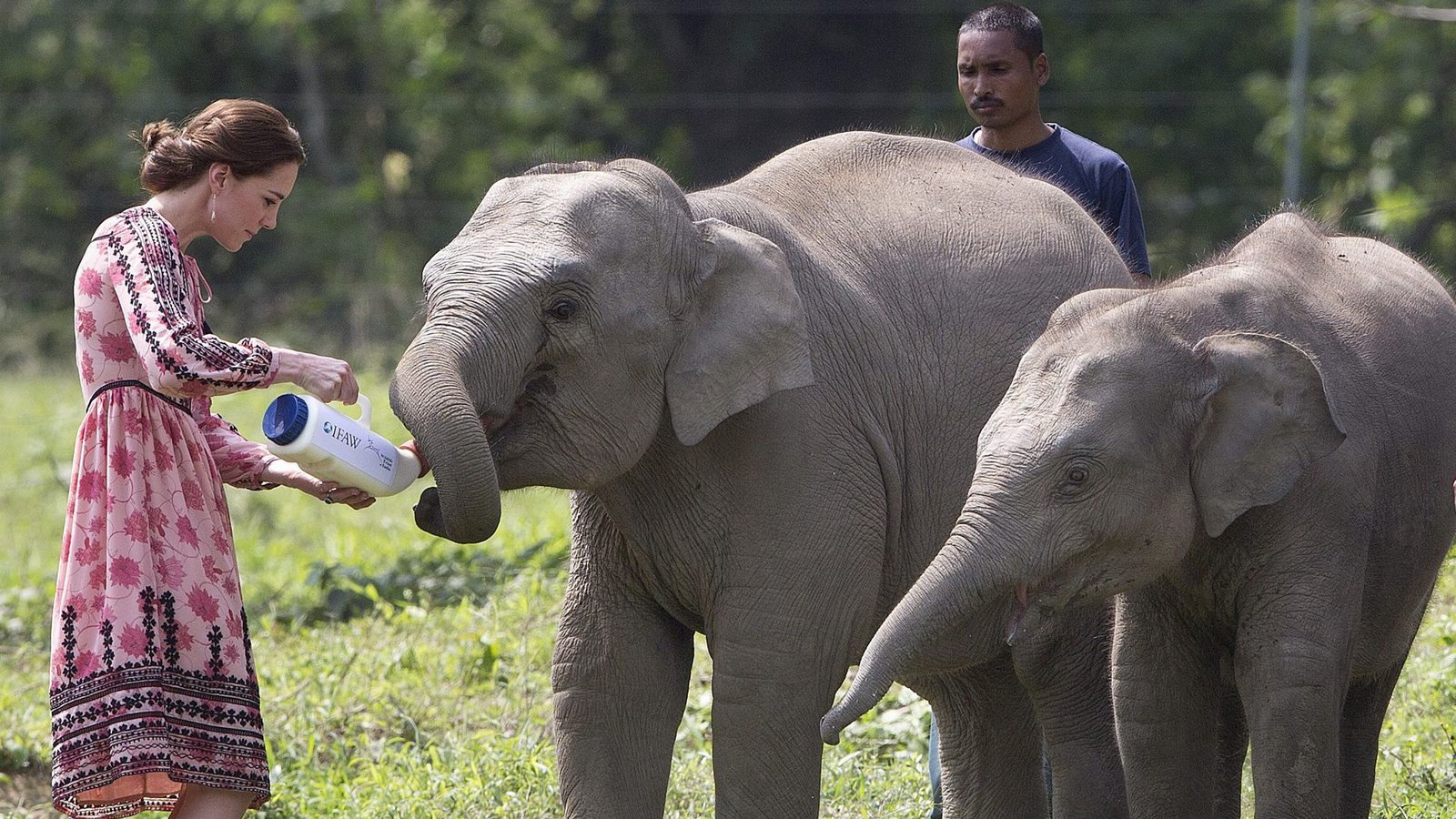 Wasser für die Elefanten: 2016 reisten Herzogin Kate und Prinz William durch Indien. Das Ethnokleid (etwa 89 Euro) vom Günstig-Label Topshop war damals innerhalb kürzester Zeit ausverkauft.Foto: dpa