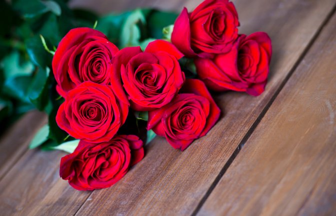 Die Rosen-Anzahl spielt eine wichtige Rolle für die Botschaft. Alles über die Bedeutung der Anzahl von Rosen als Geschenk finden Sie hier.<span class='image-autor'>Foto: Freya-Photographer / Shutterstock.com</span>