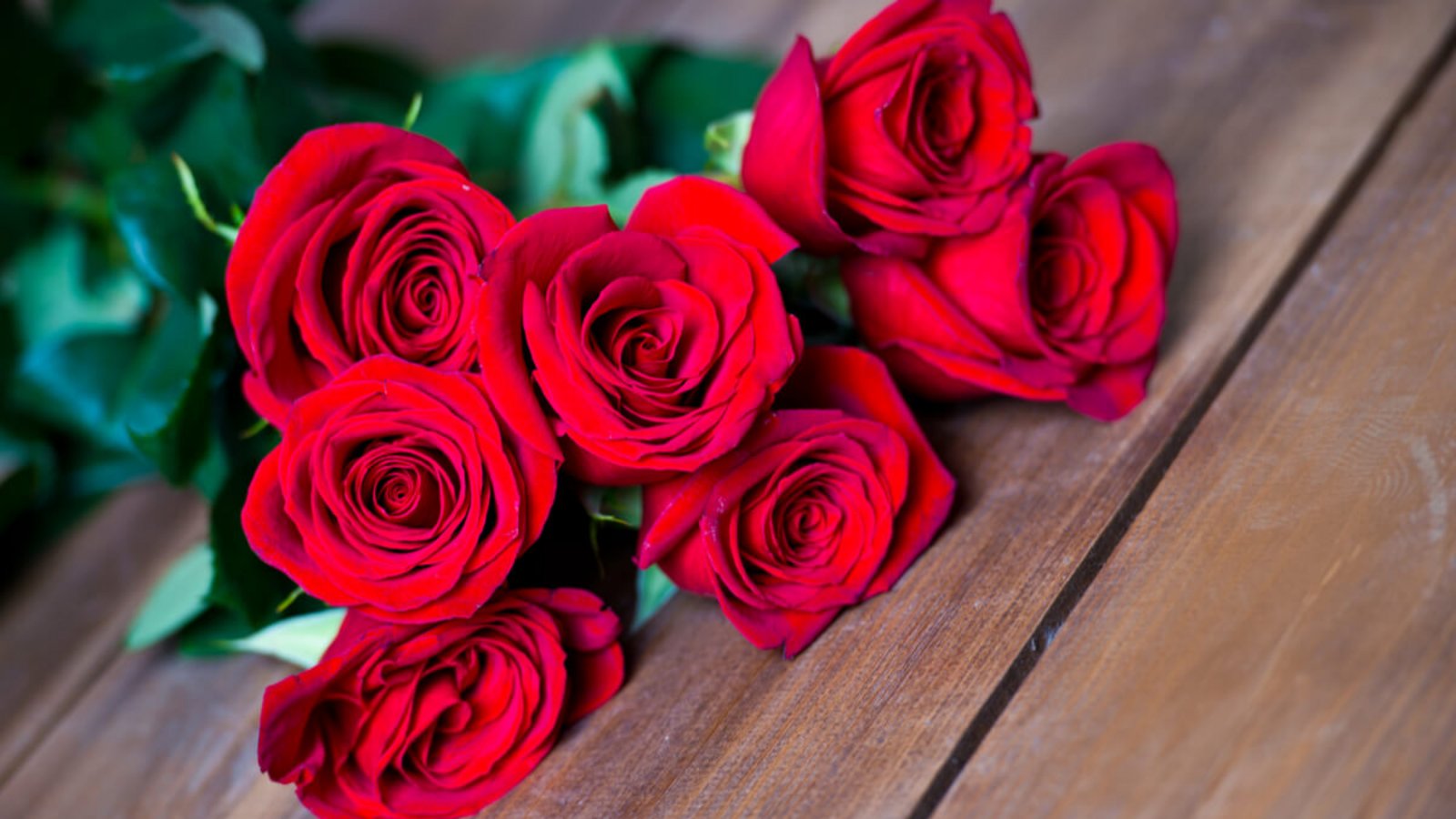 Die Rosen-Anzahl spielt eine wichtige Rolle für die Botschaft. Alles über die Bedeutung der Anzahl von Rosen als Geschenk finden Sie hier.Foto: Freya-Photographer / Shutterstock.com Die Rosen-Anzahl spielt eine wichtige Rolle für die Botschaft. Alles über die Bedeutung der Anzahl von Rosen als Geschenk finden Sie hier.Foto: Freya-Photographer / Shutterstock.com