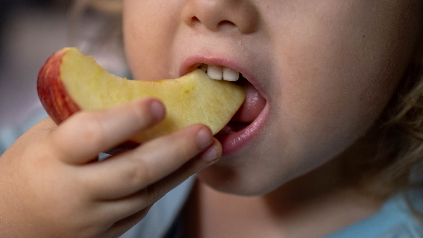Obst wird oft durch hochverarbeitete Lebensmittel ersetzt. (Symbolbild)Foto: Hendrik Schmidt/dpa