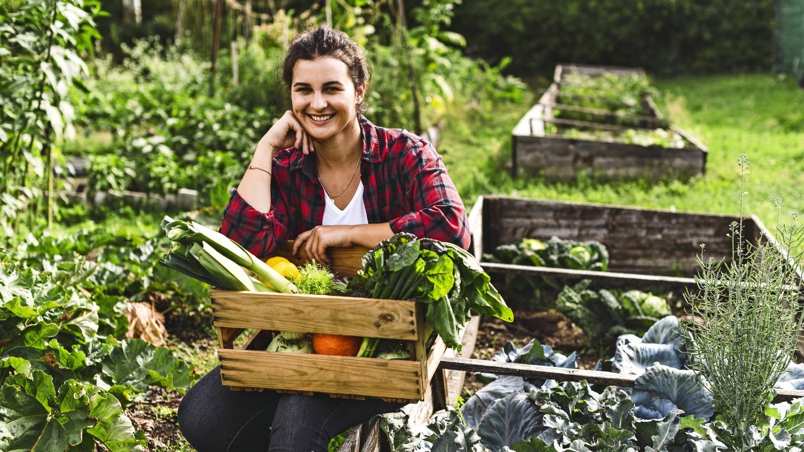 Gewusst wie: Eine gute Ernte aus dem Hochbeet kommt nicht von alleine.Foto: imago/Westend61/Uwe Umstätter Gewusst wie: Eine gute Ernte aus dem Hochbeet kommt nicht von alleine.Foto: imago/Westend61/Uwe Umstätter