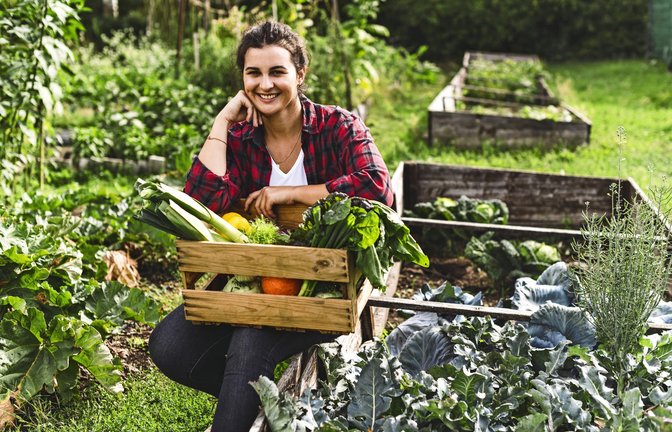 Gewusst wie: Eine gute Ernte aus dem Hochbeet kommt nicht von alleine.<span class='image-autor'>Foto: imago/Westend61/Uwe Umstätter</span>