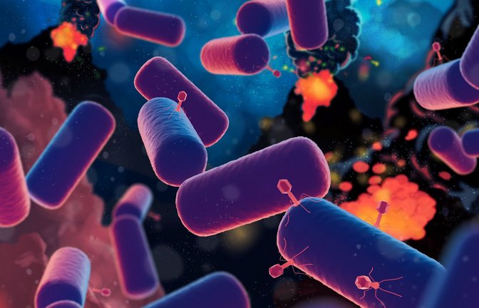 Dieses Ur-Leben war das älteste Glied in der endlosen Kette der  Evolution, der Ur-Ahn und Ur-Vater aller heutigen Lebewesen. Wissenschaftler haben ihn LUCA getauft.<span class='image-autor'>Foto: Science Graphic Design/dpa</span>