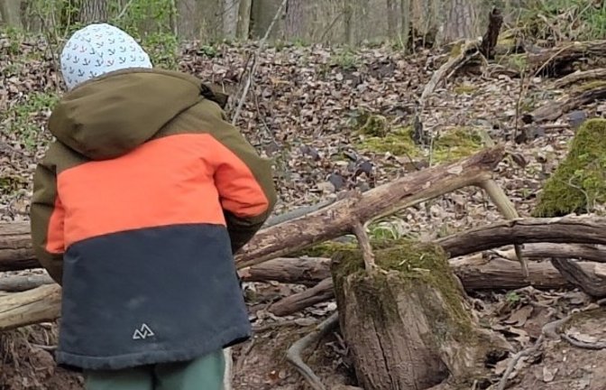 Eltern im Kirbachtal wünschen sich einen Waldkindergarten. Archivfoto: VKZ