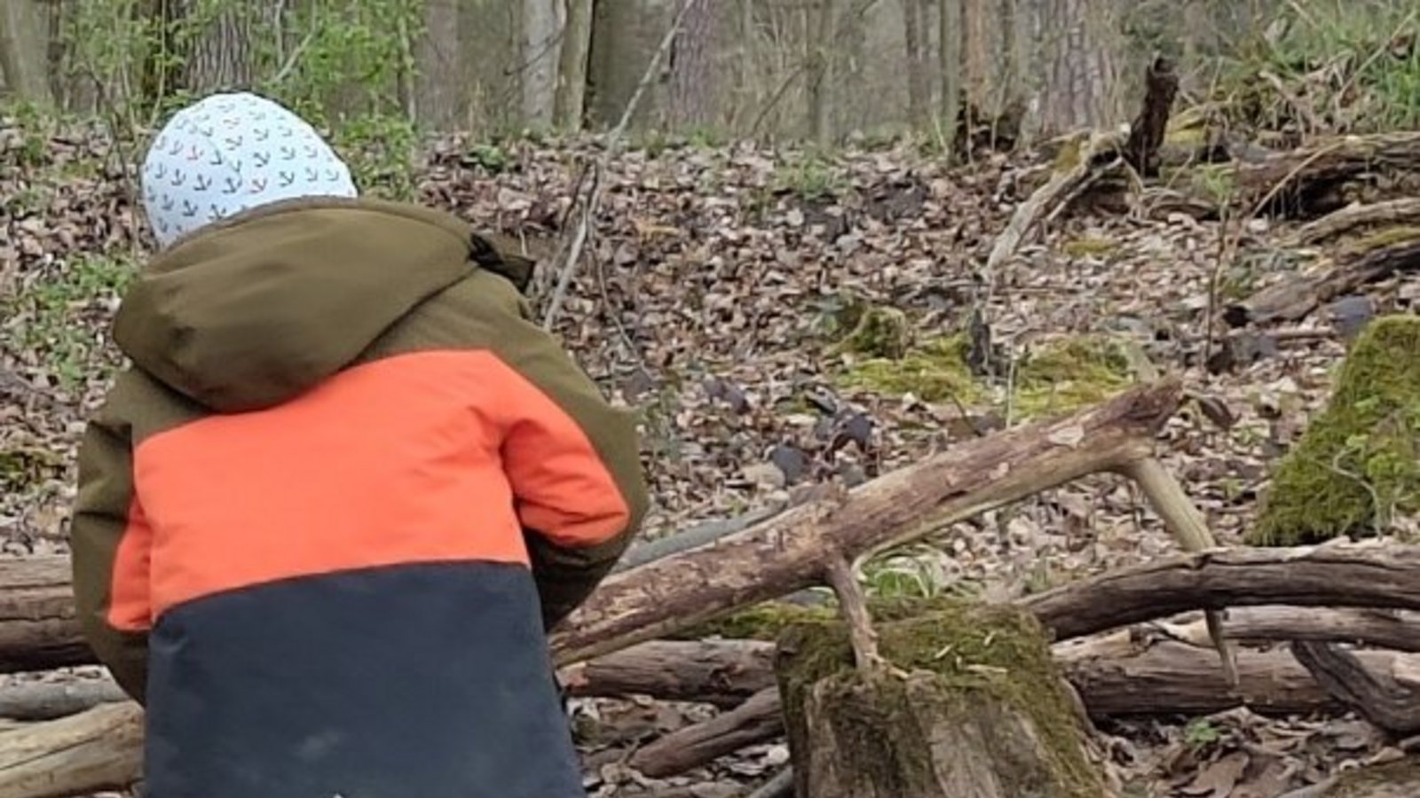Eltern im Kirbachtal wünschen sich einen Waldkindergarten. Archivfoto: VKZ
