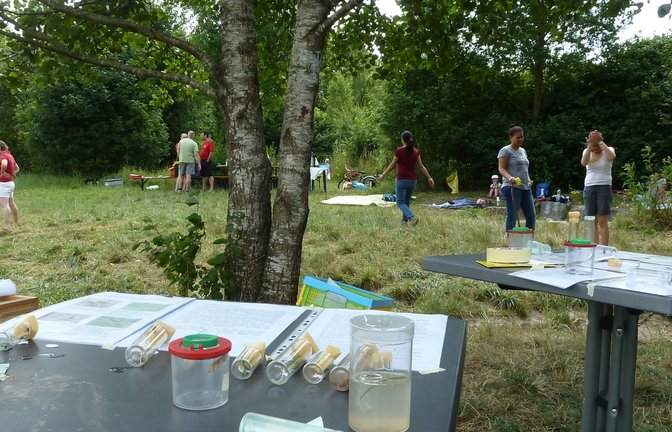 Regelmäßig findet das Familienfrühstück im Naturerlebnisraum statt.  <span class='image-autor'>Foto: p</span>
