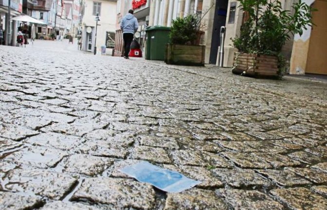 In Vaihingen liegt das Geld auf der Straße. Leider aber kein echtes.  Foto: Rostek