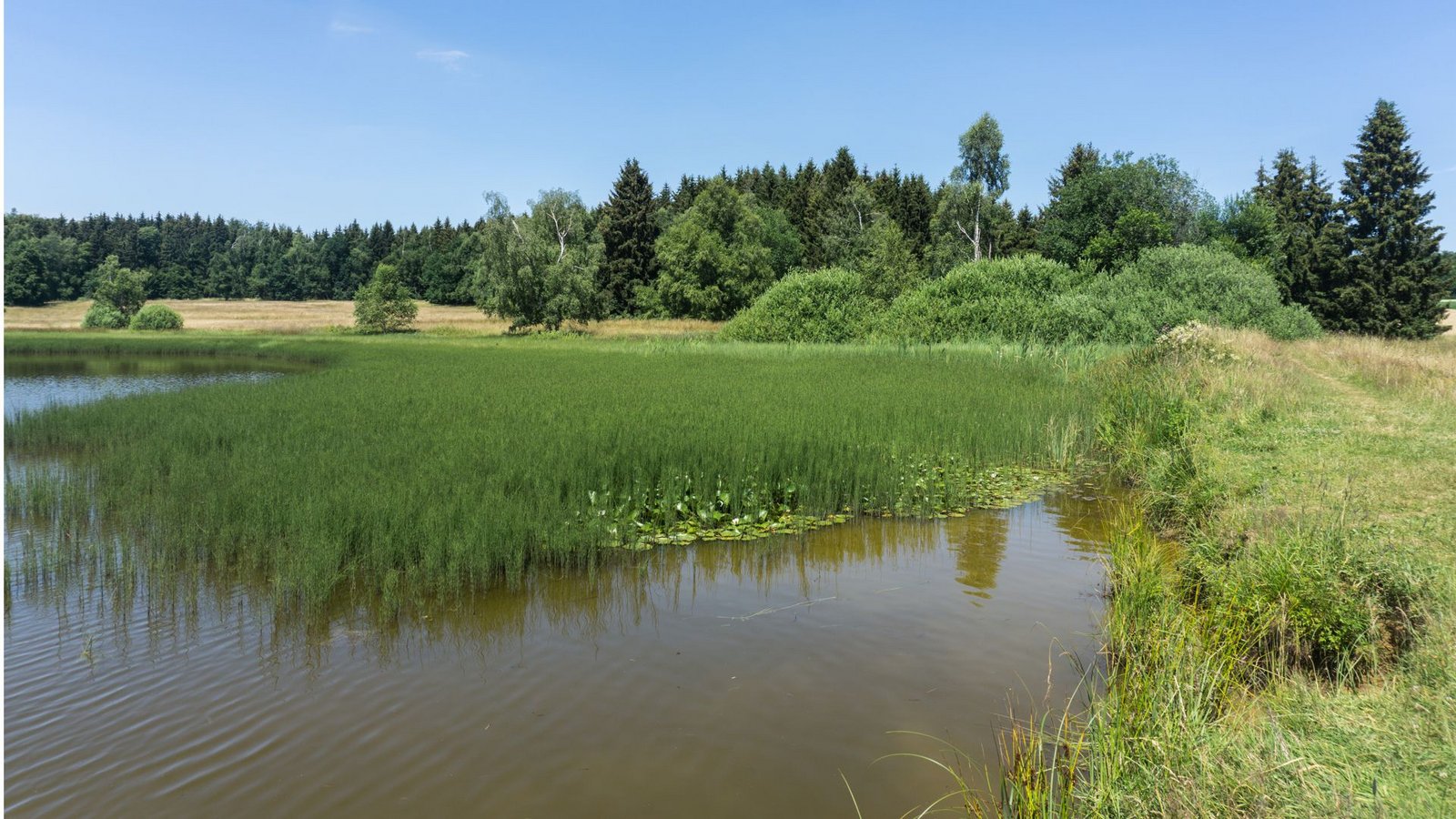 Wasser ist selten auf der Alb – die Weiherwiesen bei Essingen erscheinen deshalb wie eine Fata Morgana.Foto: Faltin Wasser ist selten auf der Alb – die Weiherwiesen bei Essingen erscheinen deshalb wie eine Fata Morgana.Foto: Faltin
