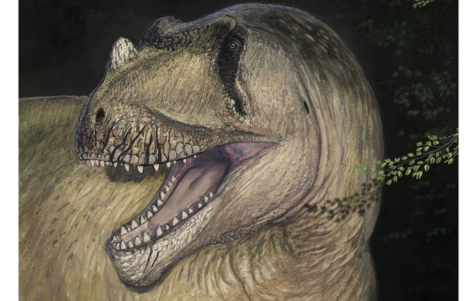 Lebend-Rekonstruktion von Tameryraptor markgrafi.<span class='image-autor'>Foto: Joshua Knüppe</span>