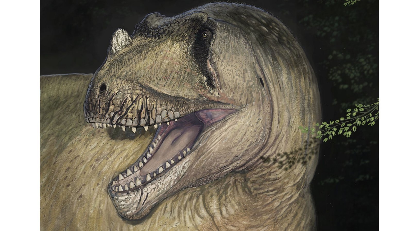 Lebend-Rekonstruktion von Tameryraptor markgrafi.Foto: Joshua Knüppe