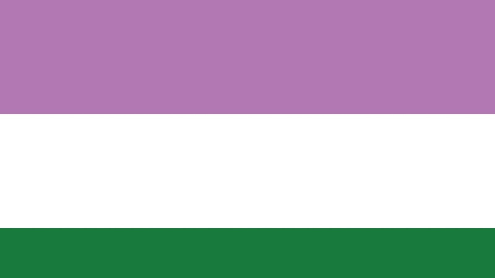 Genderqueer-Flagge: Die Genderqueer Pride Flagge hat drei horizontale Streifen in Lavendel, Weiß und dunklem Grün. Der lavendelfarbene Streifen steht für Androgynität und Queerness, der weiße Streifen für Agender-Identitäten und der grüne Streifen symbolisiert nicht-binäre Identitäten. Diese Flagge steht für die Vielfalt und Inklusivität von Geschlechtsidentitäten außerhalb der traditionellen männlichen und weiblichen Binarität.Foto: KAMAKSI/Shutterstock