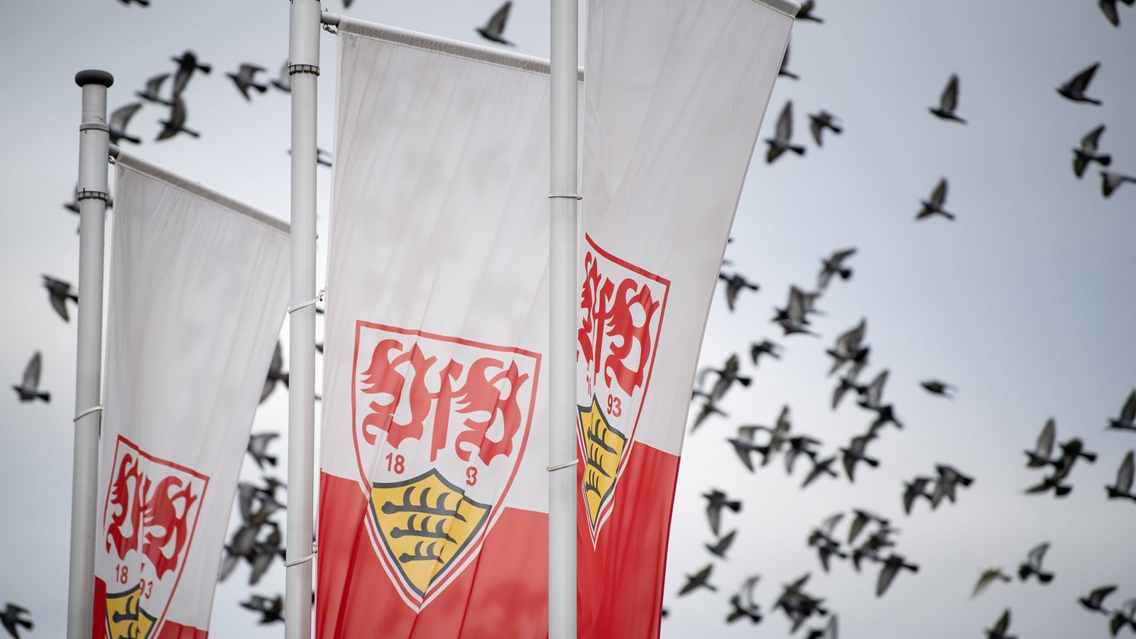 Der VfB Stuttgart II trifft am 27. Spieltag der 3. Liga auf Energie Cottbus.Foto: picture alliance/dpa | Fabian Sommer