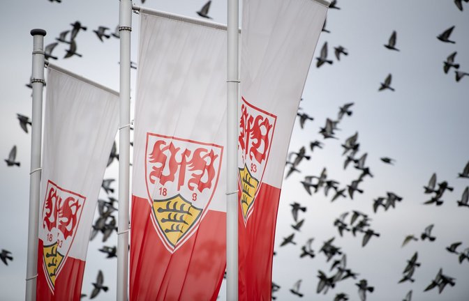 Der VfB Stuttgart II trifft am 27. Spieltag der 3. Liga auf Energie Cottbus.<span class='image-autor'>Foto: picture alliance/dpa | Fabian Sommer</span>