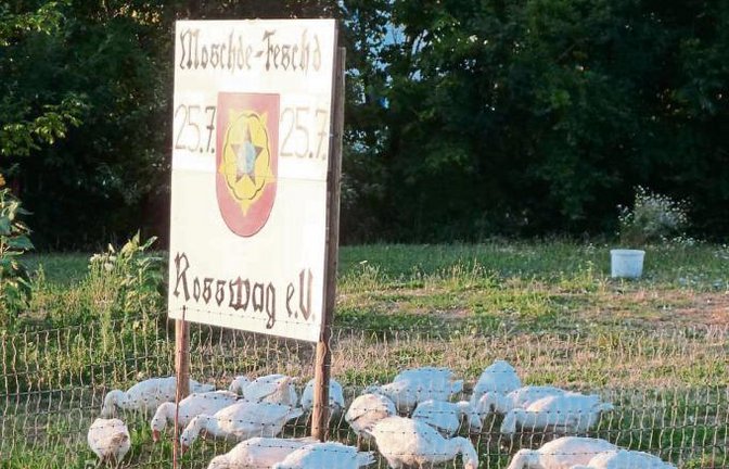 Ob sie auch alle zum Moschde-Fest nach Roßwag kommen wollen? Fotografiert an der B 10 in Enzweihingen.  Foto: Arning