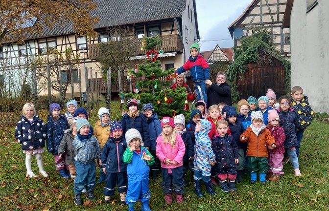 Es ist vollbracht, die Dorftanne ist geschmückt.  <span class='image-autor'>Foto: Glemser</span>