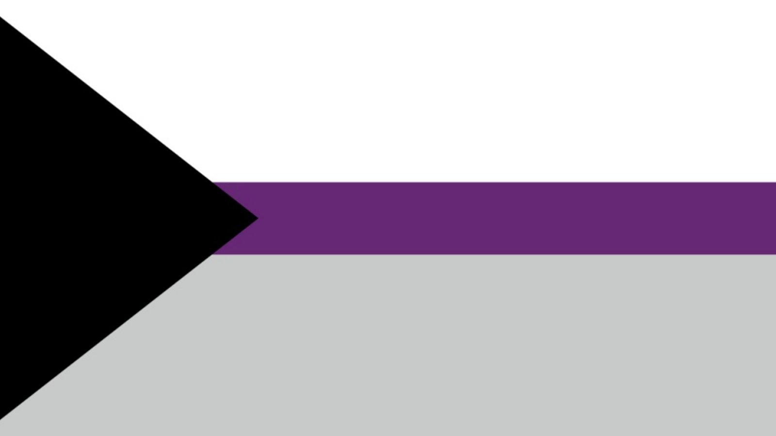 Demisexuell-Flagge: Die Demisexual Pride Flagge hat drei horizontale Streifen: weiß, lila und grau, mit einem schwarzen Dreieck auf der linken Seite. Der weiße Streifen steht für Sexualität, der violette Streifen symbolisiert Gemeinschaft und der graue Streifen steht für den Bereich zwischen sexueller und asexueller Identität. Das schwarze Dreieck steht für Asexualität. Demisexualität ist eine sexuelle Orientierung, die dadurch gekennzeichnet ist, dass man sich erst dann sexuell zu jemandem hingezogen fühlt, wenn man eine tiefe emotionale Bindung zu jemandem aufgebaut hat.Foto: Bahruz Rzayev/Shutterstock