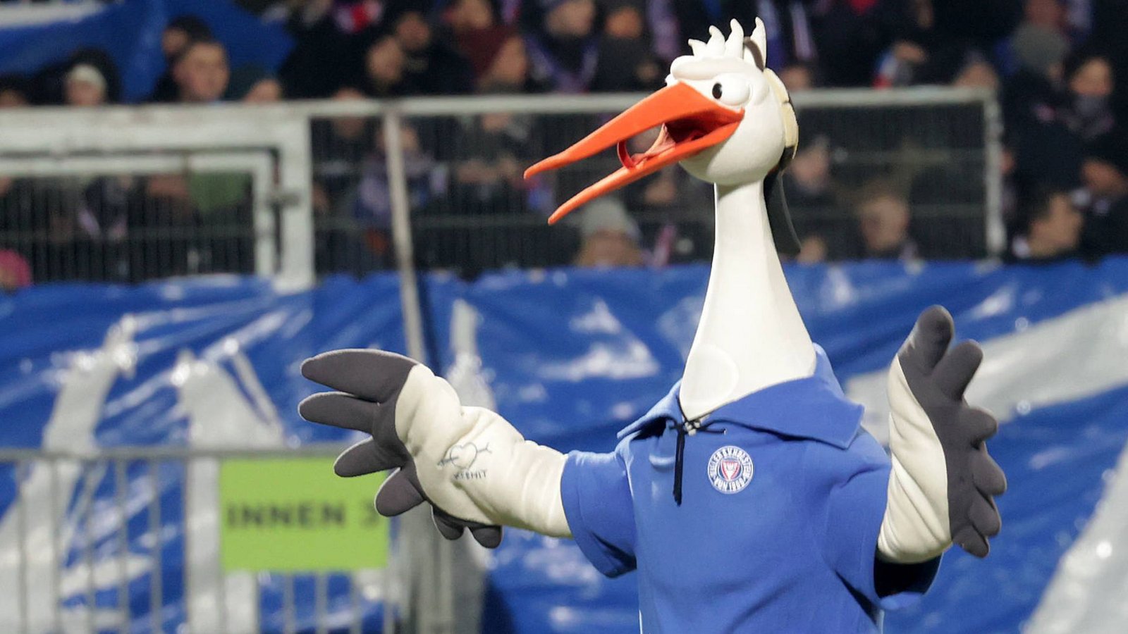 Der Zweitligist Holstein Kiel hat einen Storch namens Stolle als Maskottchen.Foto: IMAGO/Susanne Hübner Der Zweitligist Holstein Kiel hat einen Storch namens Stolle als Maskottchen.Foto: IMAGO/Susanne Hübner
