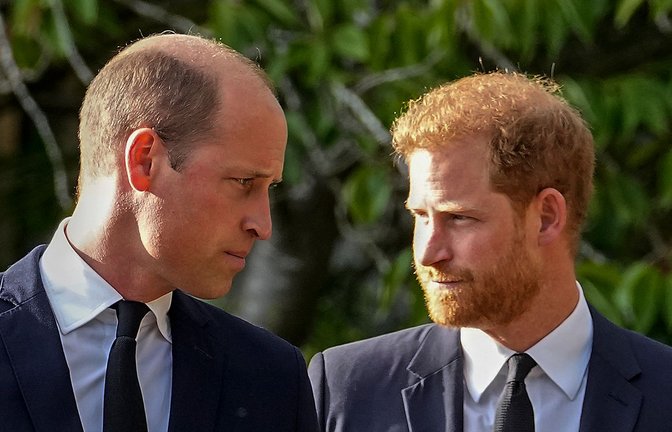 William und Harry beim Begräbnis für die verstorbene Königin Elizabeth II. vor Schloss Windsor.<span class='image-autor'>Foto: Martin Meissner/AP/dpa</span>