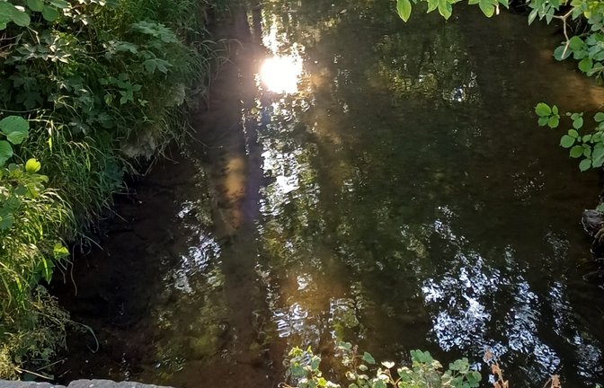 Noch ist Wasser im Bächle.  <span class='image-autor'>Foto: Rücker</span>