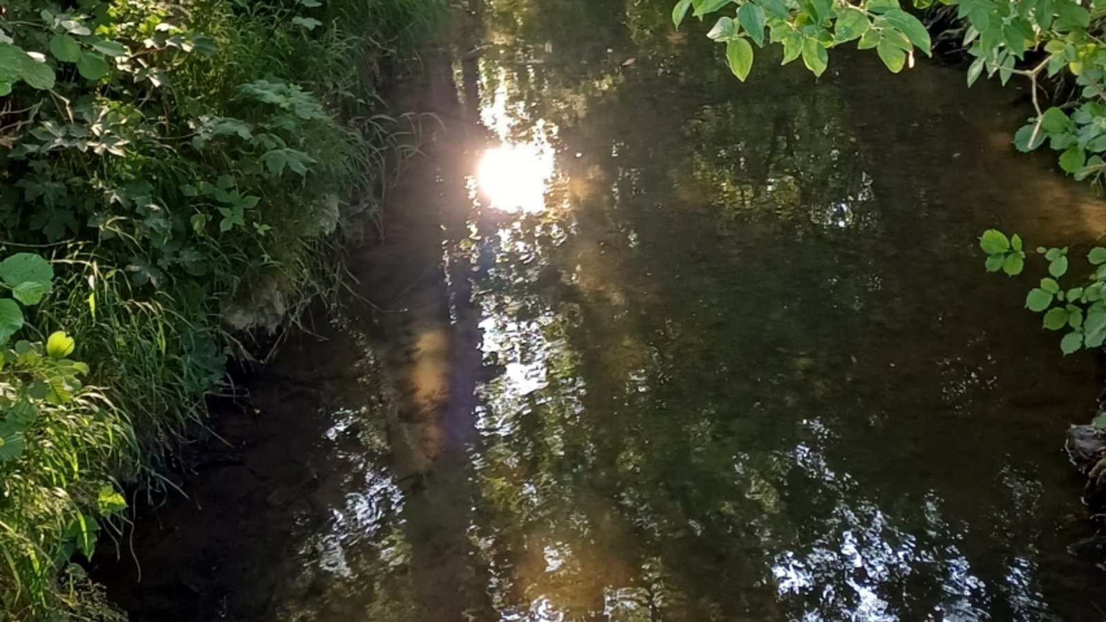 Noch ist Wasser im Bächle. Foto: Rücker Noch ist Wasser im Bächle. Foto: Rücker