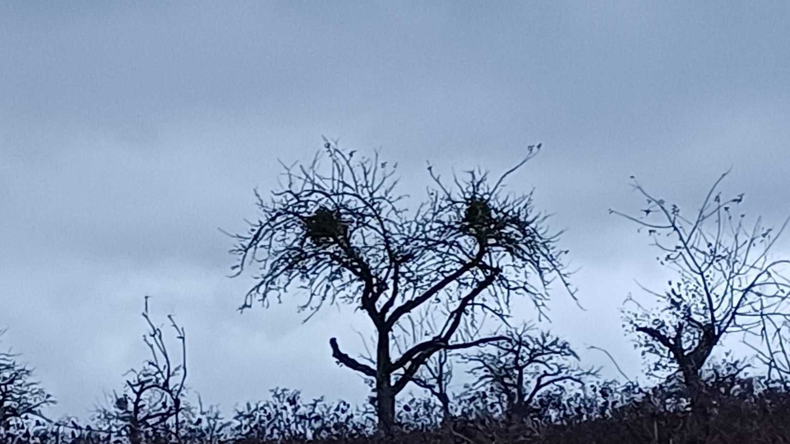 Dass auch Mutter Natur mit einem Smiley lächelt, sieht man hier mit etwas Fantasie. sr