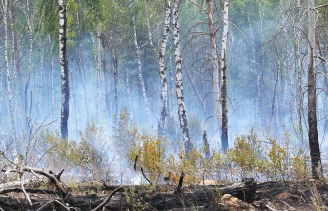 Rauschschwaden ziehen durch einen Wald und künden von einem Waldbrand.<span class='image-autor'>Michael Bahlo/dpa</span>