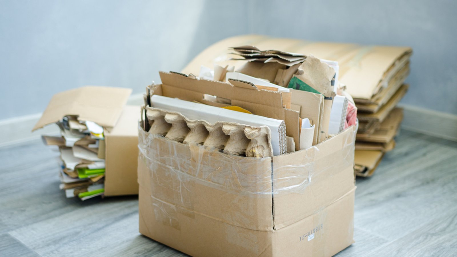 Lässt sich daraus Geld machen?Foto: Klyuchinskiy Oleg / shutterstock.com Lässt sich daraus Geld machen?Foto: Klyuchinskiy Oleg / shutterstock.com