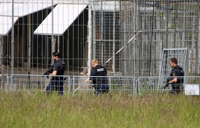 Der Tiger war aus einer privaten Haltung entkommen.<span class='image-autor'>Foto: Björn Stach/EHL Media/dpa</span>