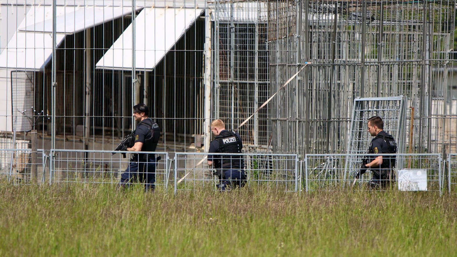Der Tiger war aus einer privaten Haltung entkommen.Foto: Björn Stach/EHL Media/dpa Der Tiger war aus einer privaten Haltung entkommen.Foto: Björn Stach/EHL Media/dpa