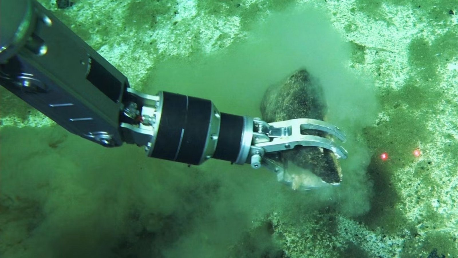 Der Roboterarm eines Tauch-U-Bootes greift nach einem Wal-Fossil: Die Forscher gehen davon aus, dass es weltweit noch viele andere solche Walfriedhöfe gibt. Allein die Fläche des Grabens schätzt es auf 14.400 Quadratkilometer. Hochgerechnet könnten in der Bruchzone mehr als zehn Millionen Walreste liegen.Foto: © Global TREnD/IDSSE/dpa/AP