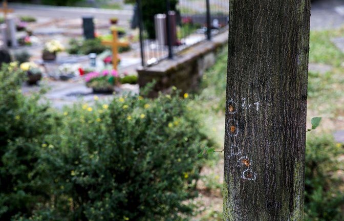 Spuren des Handgranatenwurfs auf dem Altbacher Friedhof.<span class='image-autor'>Foto: Ines Rudel/Ines Rudel</span>