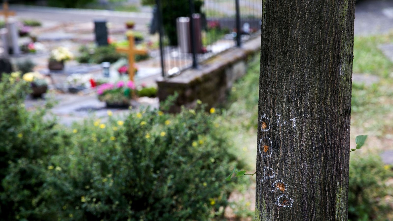 Spuren des Handgranatenwurfs auf dem Altbacher Friedhof.Foto: Ines Rudel/Ines Rudel Spuren des Handgranatenwurfs auf dem Altbacher Friedhof.Foto: Ines Rudel/Ines Rudel